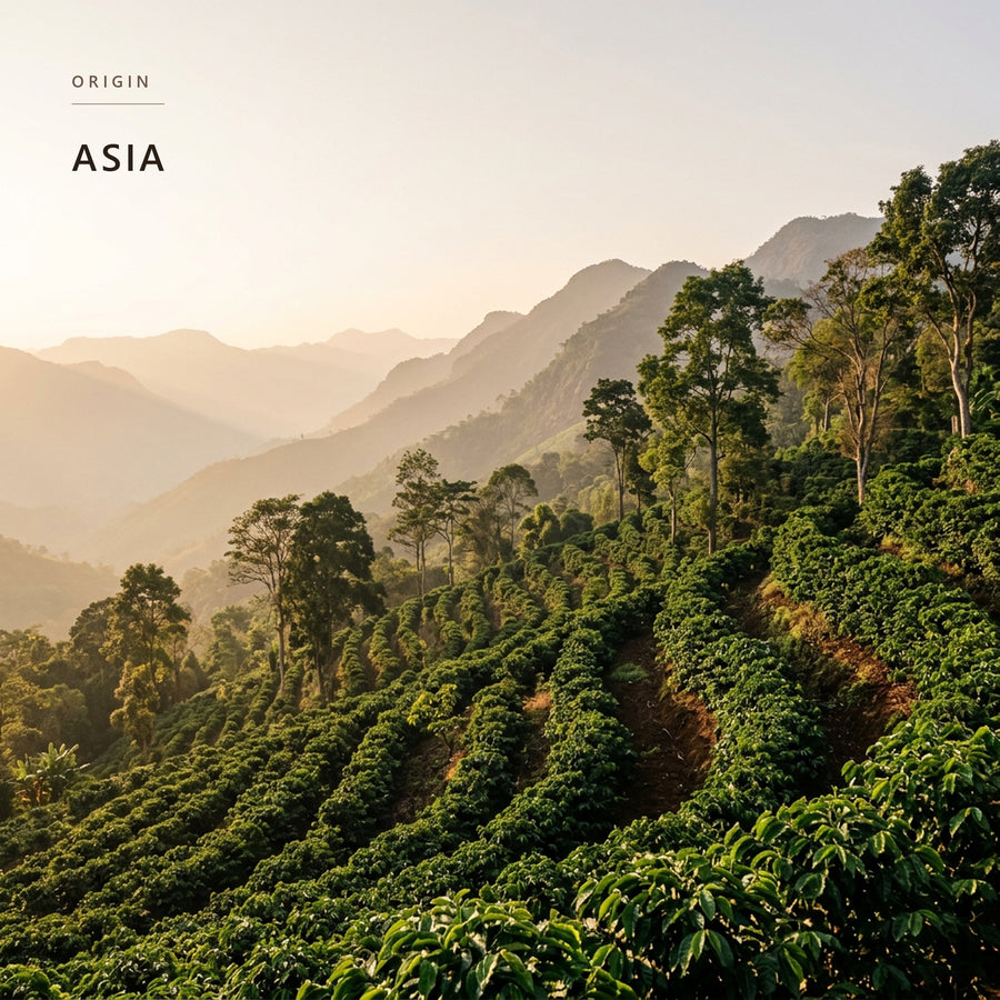 Coffee-growing terrain in Asia, the origin of Asian Plateau Blend