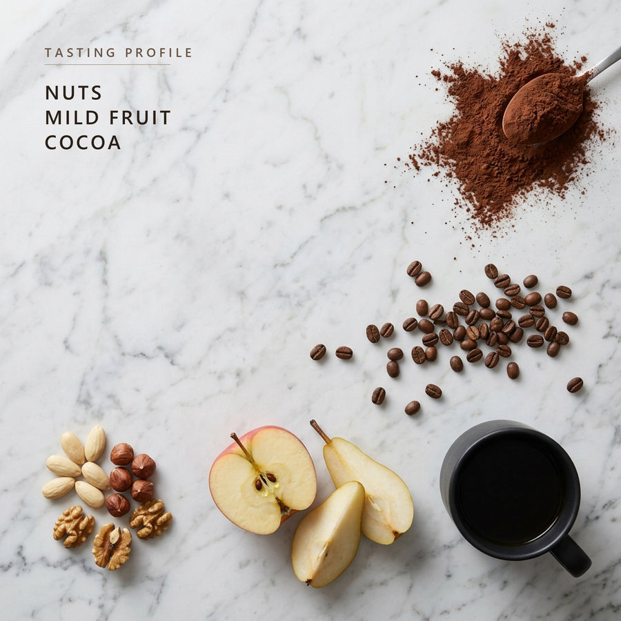 Latin American Blend tasting profile: nuts, mild fruit and cocoa