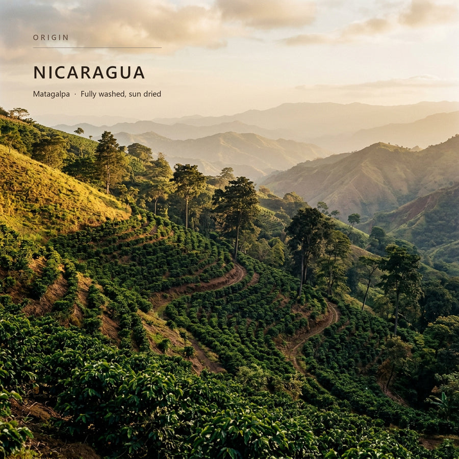 Coffee-growing terrain in Nicaragua