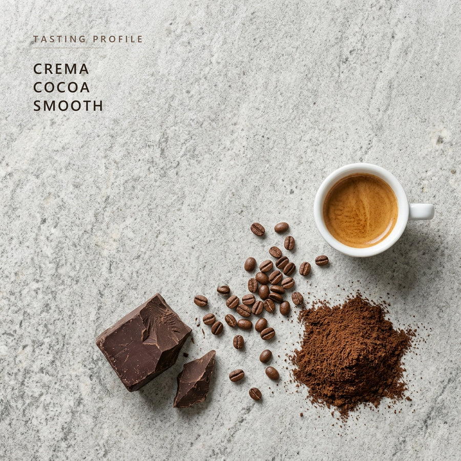 Brazil Santos tasting profile: crema, cocoa and smooth