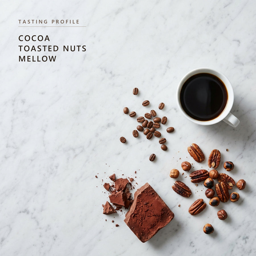 Breakfast Blend tasting profile: cocoa, toasted nuts and mellow