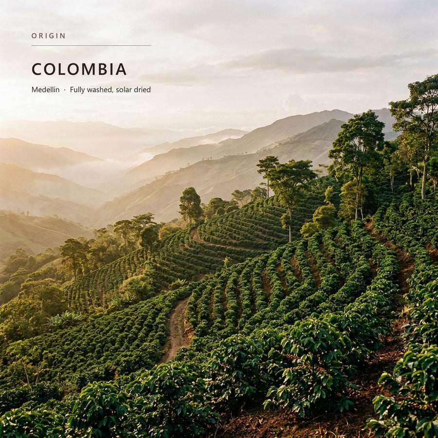 Coffee-growing terrain in Colombia