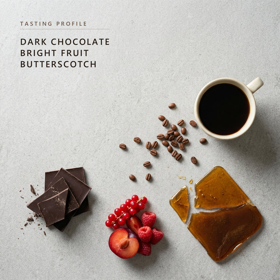 Guatemala tasting profile: dark chocolate, bright fruit and butterscotch