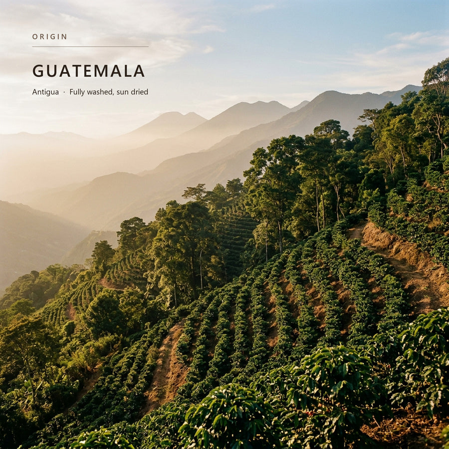 Coffee-growing terrain in Guatemala