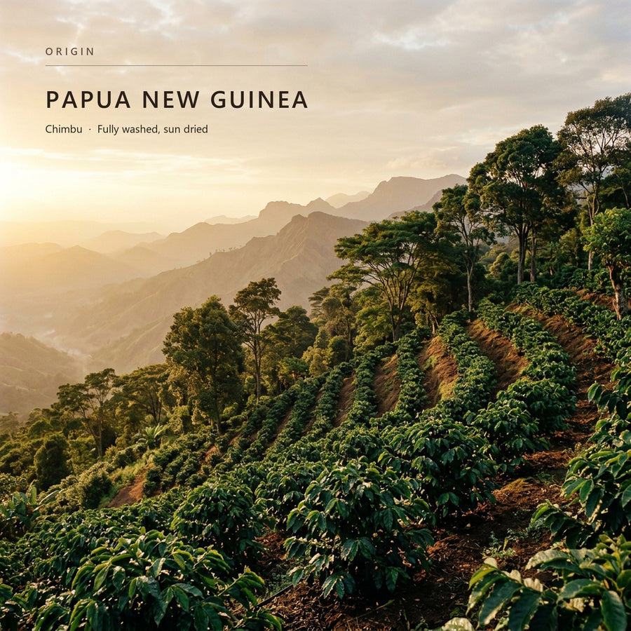 Coffee-growing terrain in Papua New Guinea