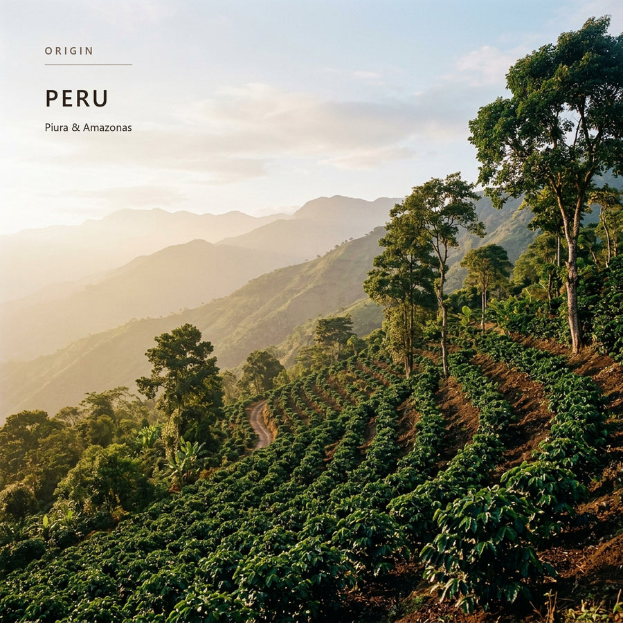 Coffee-growing terrain in Peru