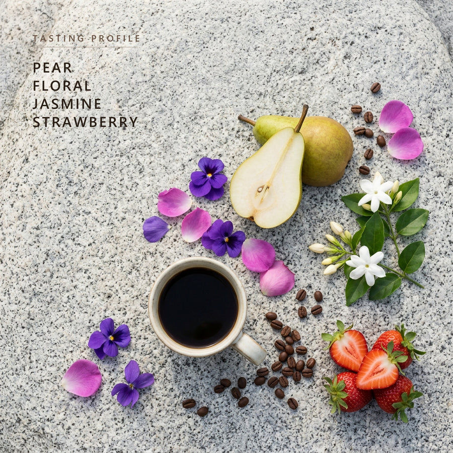 Tanzania tasting profile: pear, floral, jasmine and strawberry